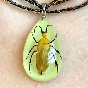 Real Beetle Necklace - vintage - glow in the dark.